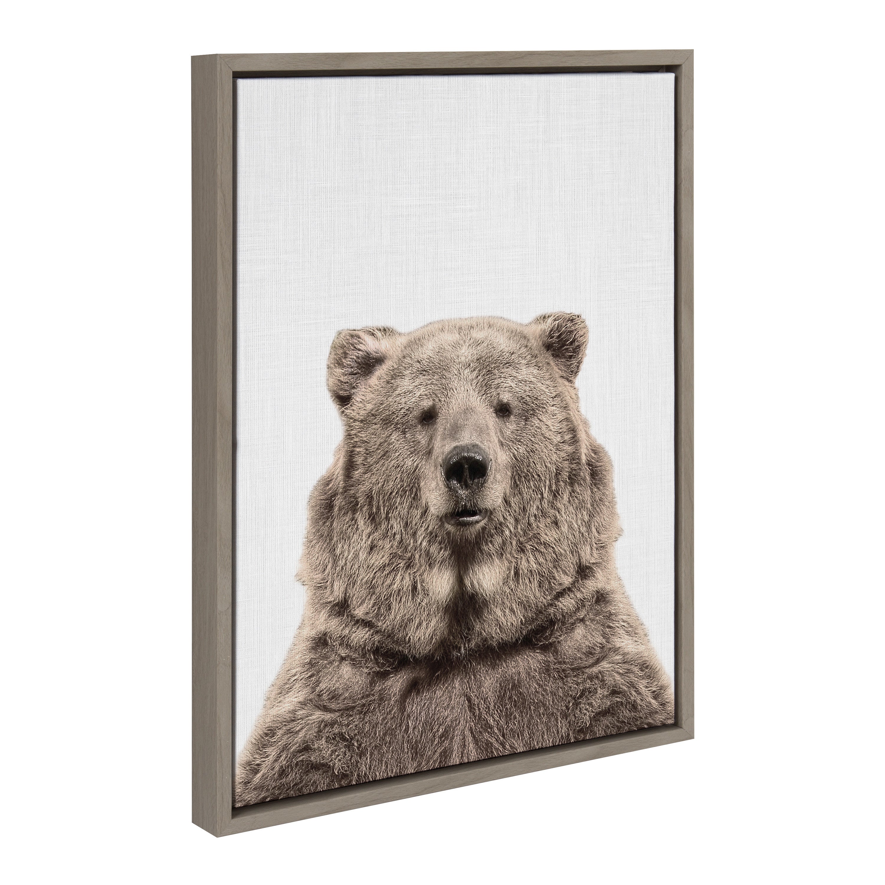 Sylvie Bear European Color Framed Canvas by Simon Te of Tai Prints