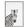 Sylvie Baby Zebra Gray Framed Canvas by Simon Te Tai