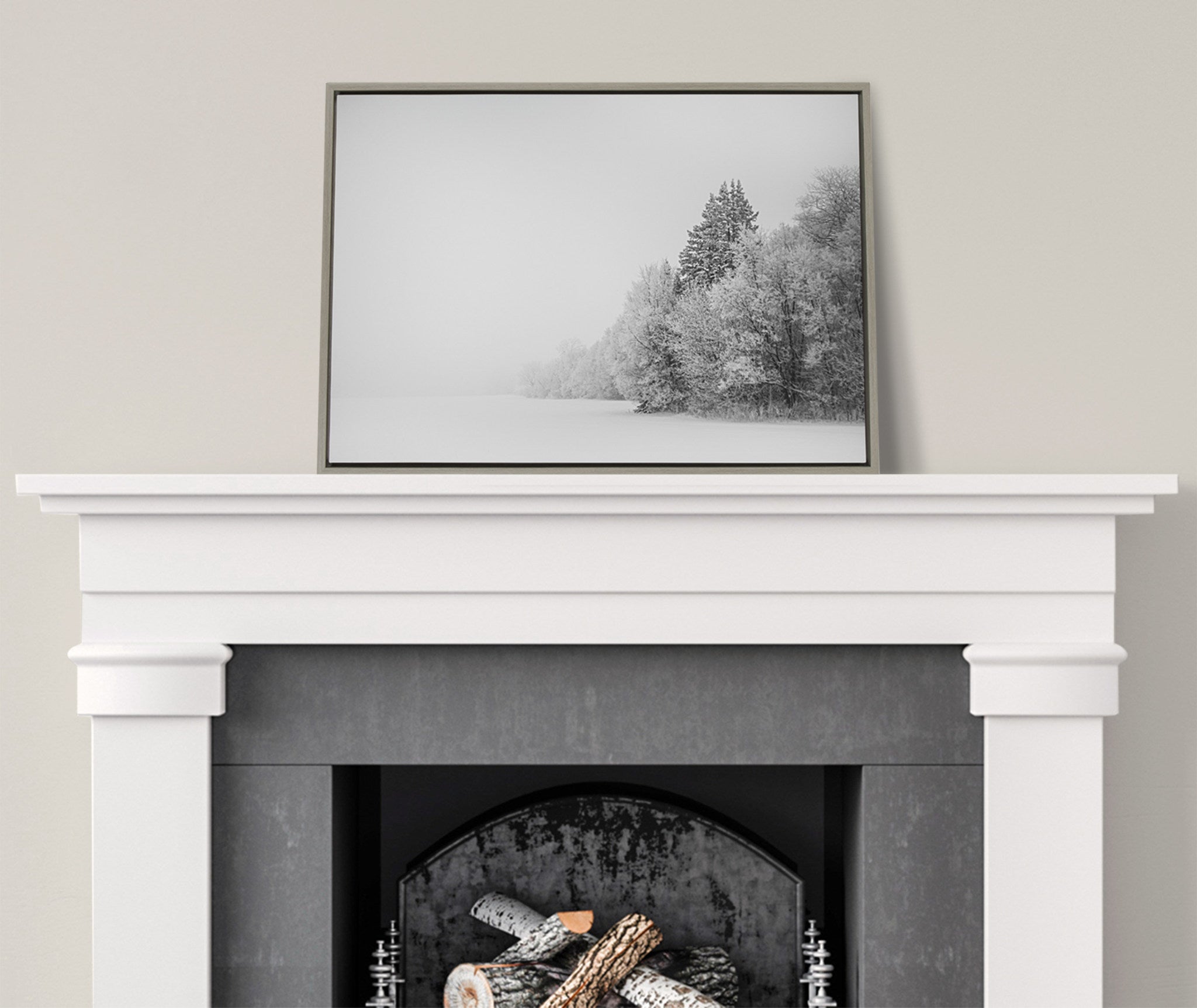Sylvie Black and White Snow Day Framed Canvas by Emiko and Mark Franzen of F2Images