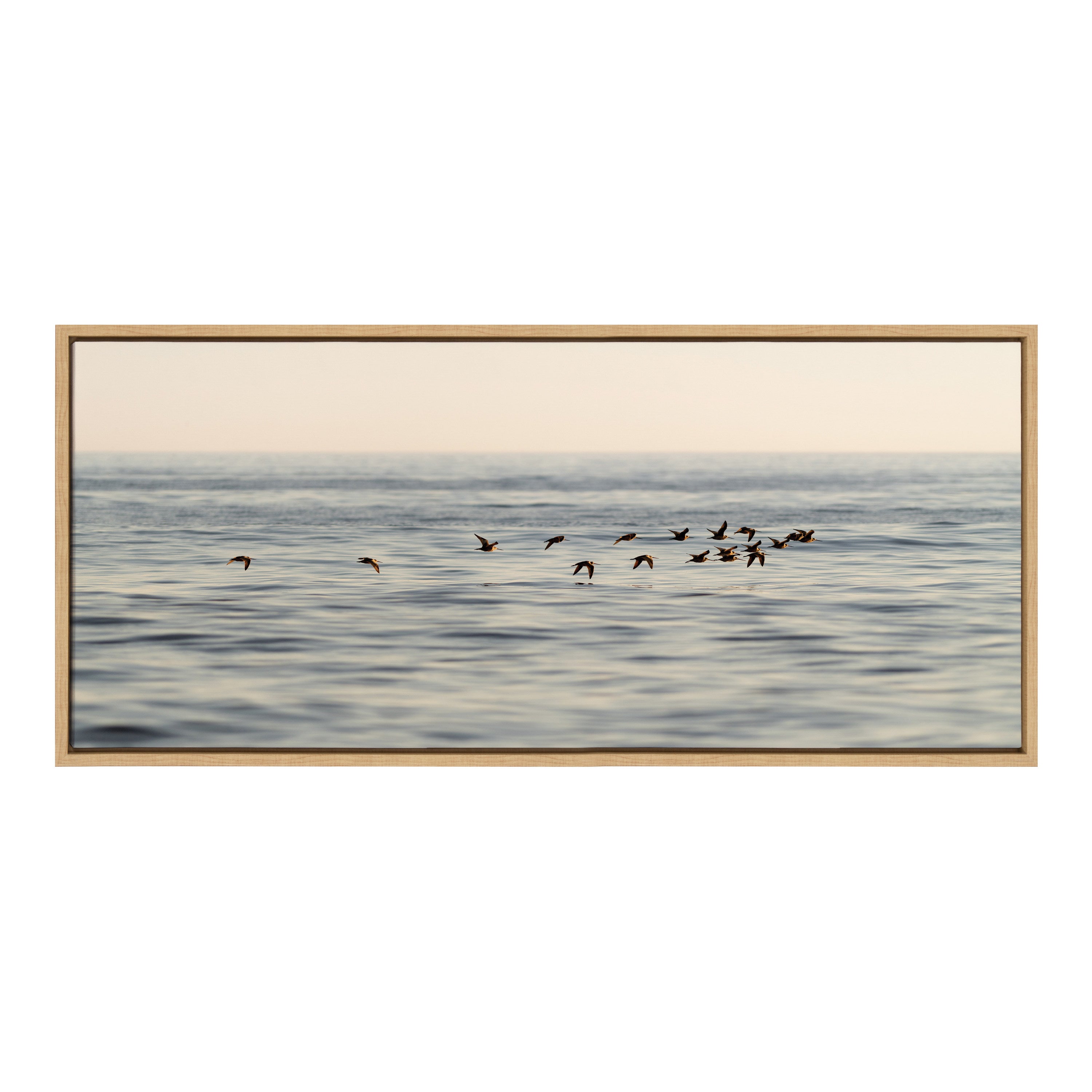 Sylvie Birds of a Feather Framed Canvas by Crystal Lynn Collins