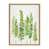 Sylvie Sword Ferns Framed Canvas by Patricia Shaw