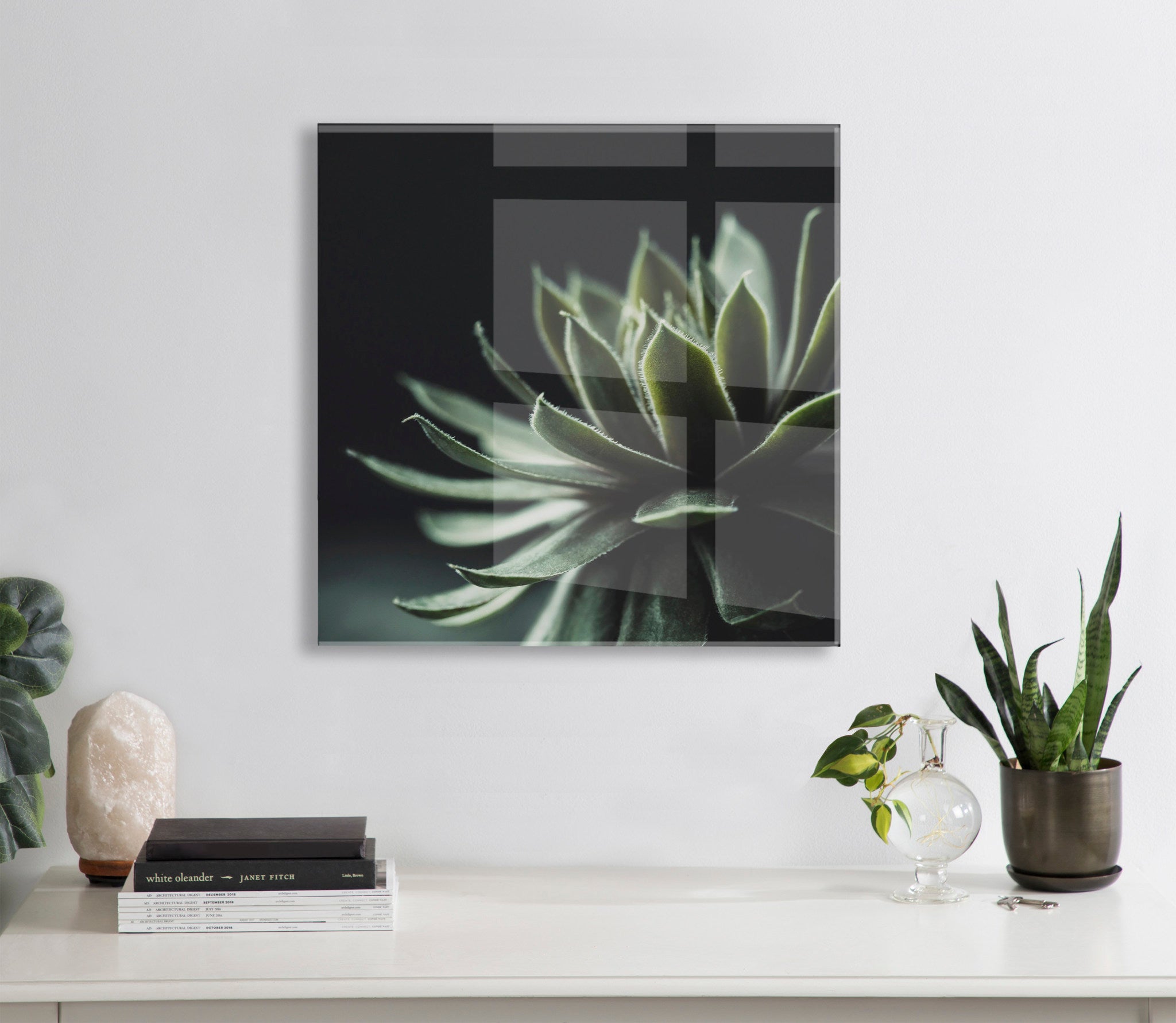 Warrior Succulent Floating Acrylic Art by Emiko and Mark Franzen of F2Images