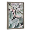 Blake Botanical Succulent Plants 1 Framed Printed Glass by The Creative Bunch Studio