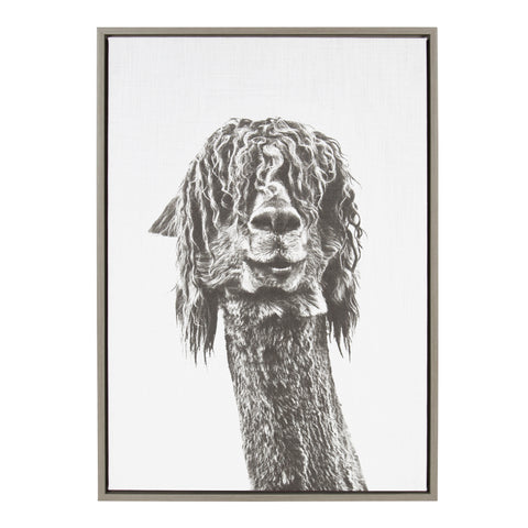 Sylvie Curly Hair Alpaca Framed Canvas by Simon Te Tai