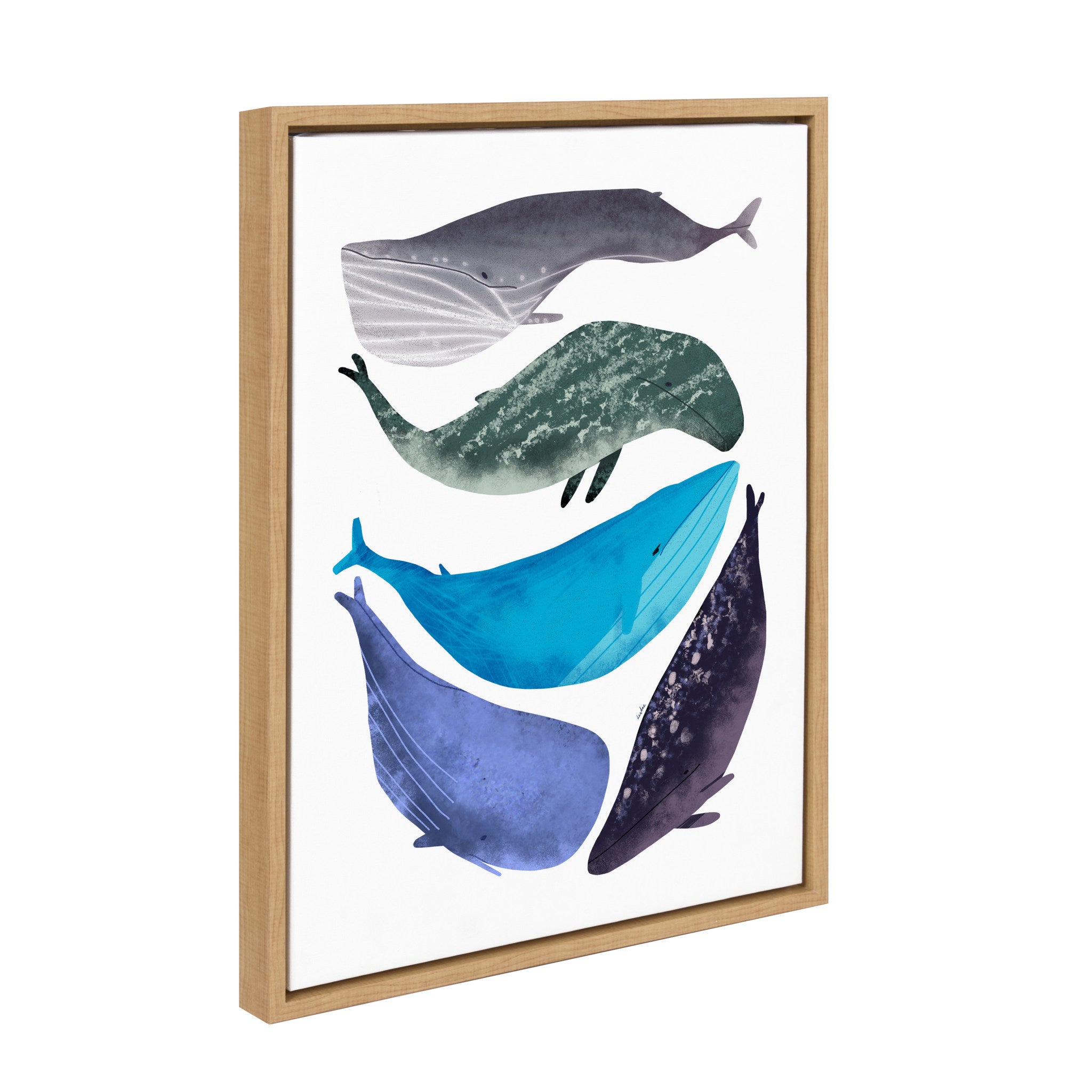 Framed Canvas, Coastal, Natural