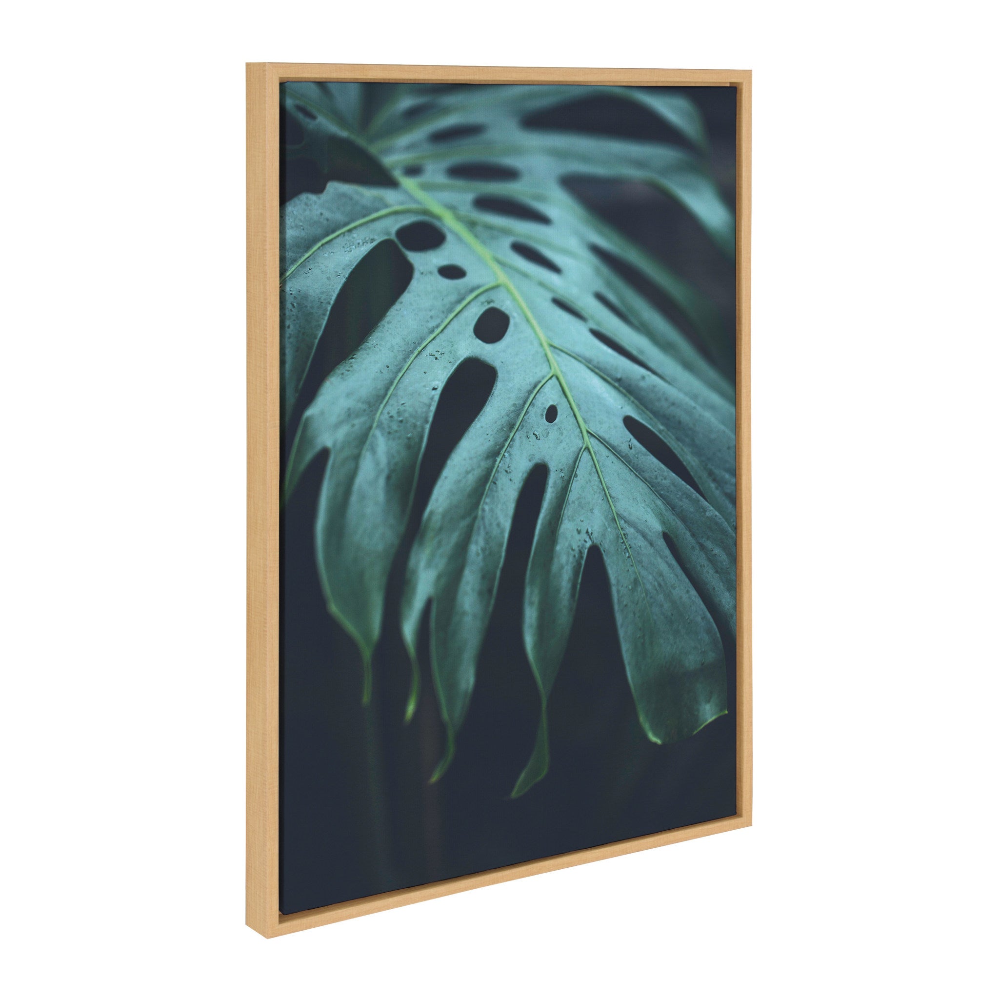 Sylvie Tropical Frond Framed Canvas by F2 Images