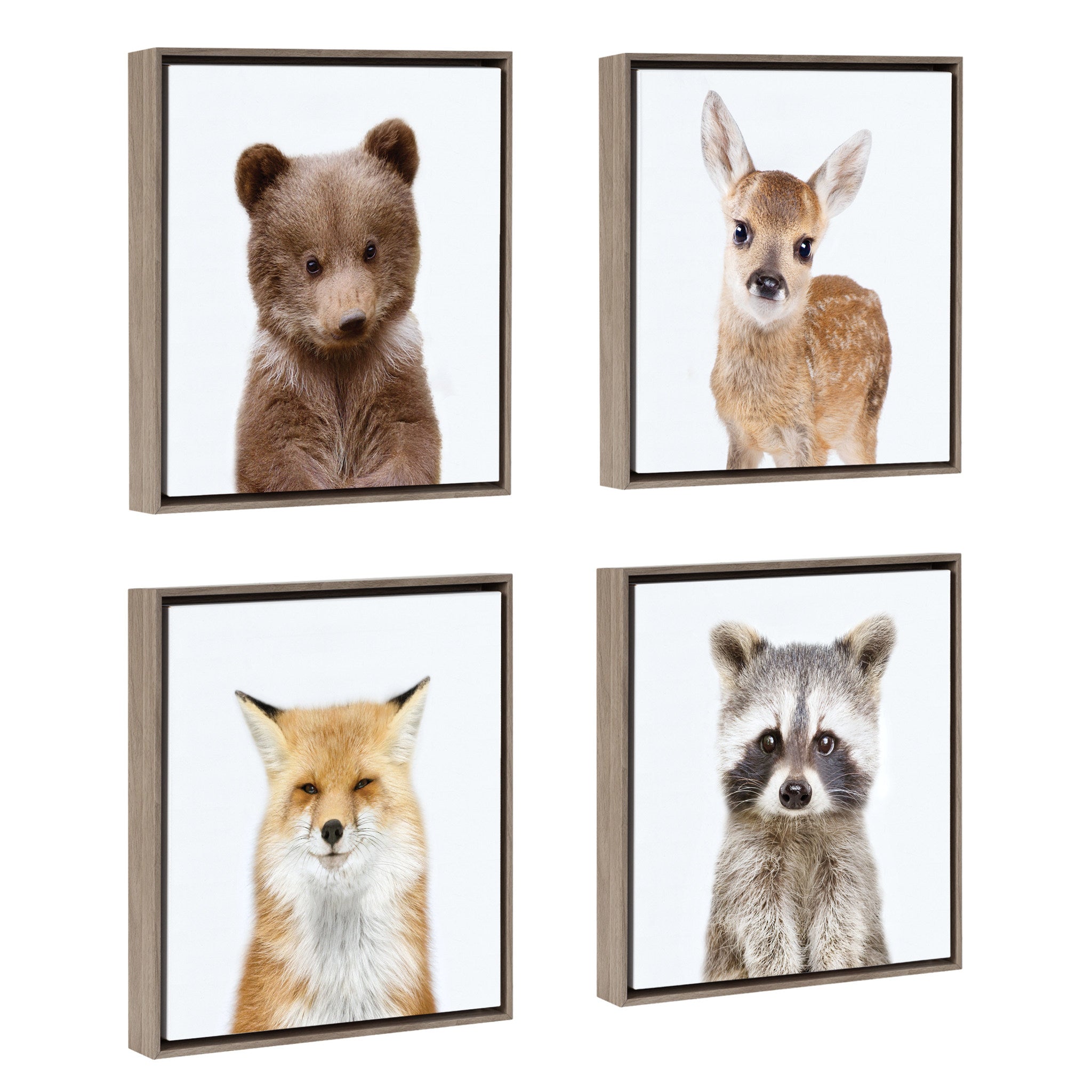 Sylvie Woodland Animal Framed Canvas Art Set by Amy Peterson