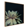 Sylvie Succulent Framed Canvas by F2 Images