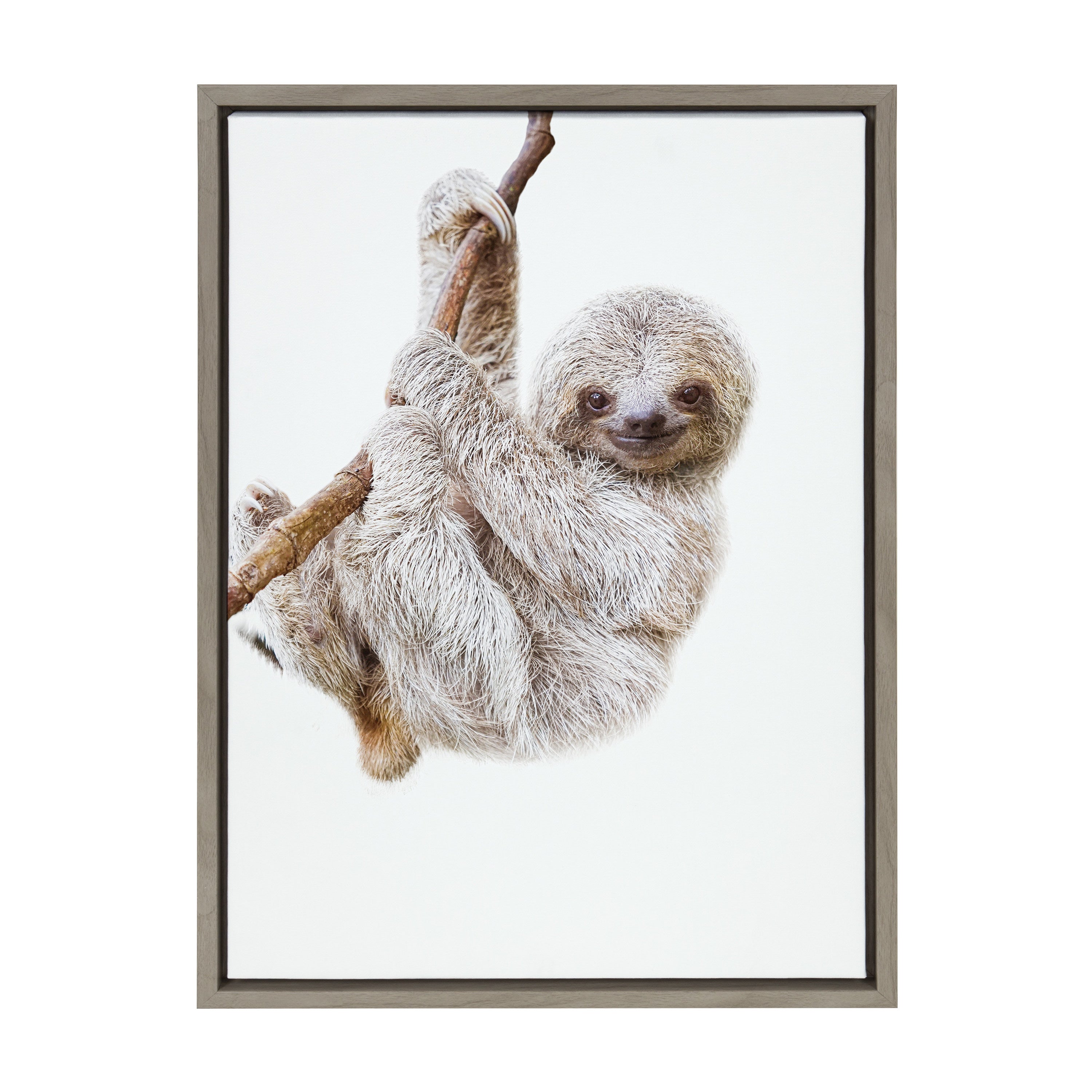 Sylvie Baby Sloth Hanging Around Framed Canvas by Amy Peterson Art Studio
