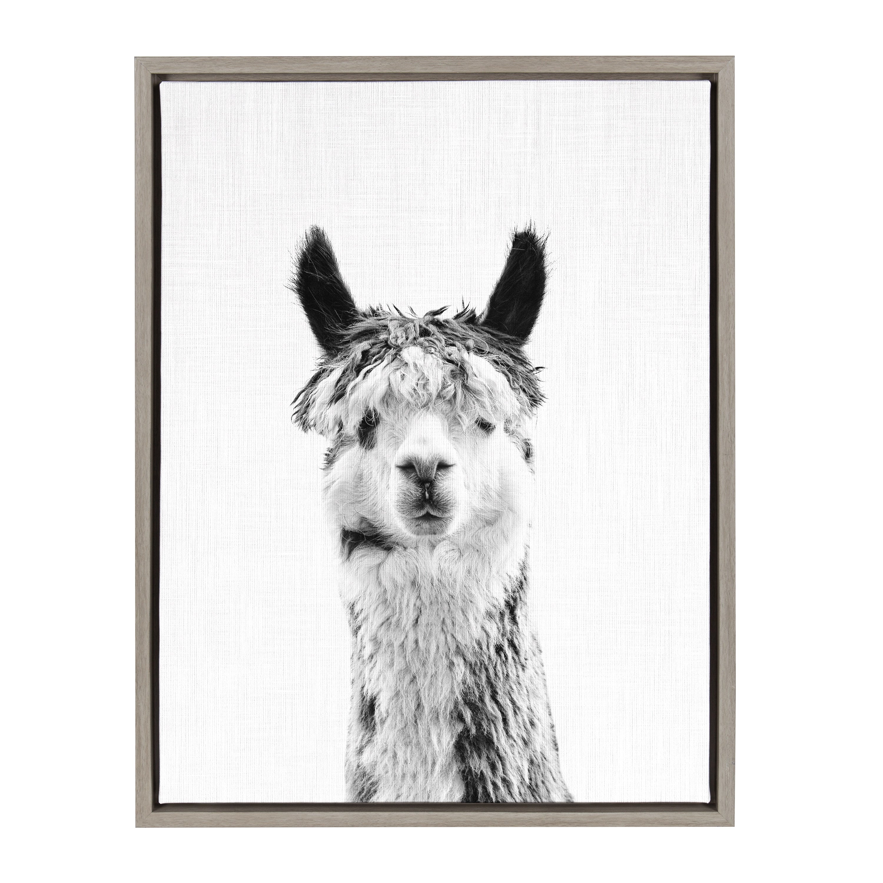 Sylvie Llama Framed Canvas by Simon Te Tai