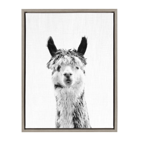 Sylvie Llama Framed Canvas by Simon Te Tai