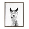 Sylvie Llama Framed Canvas by Simon Te Tai