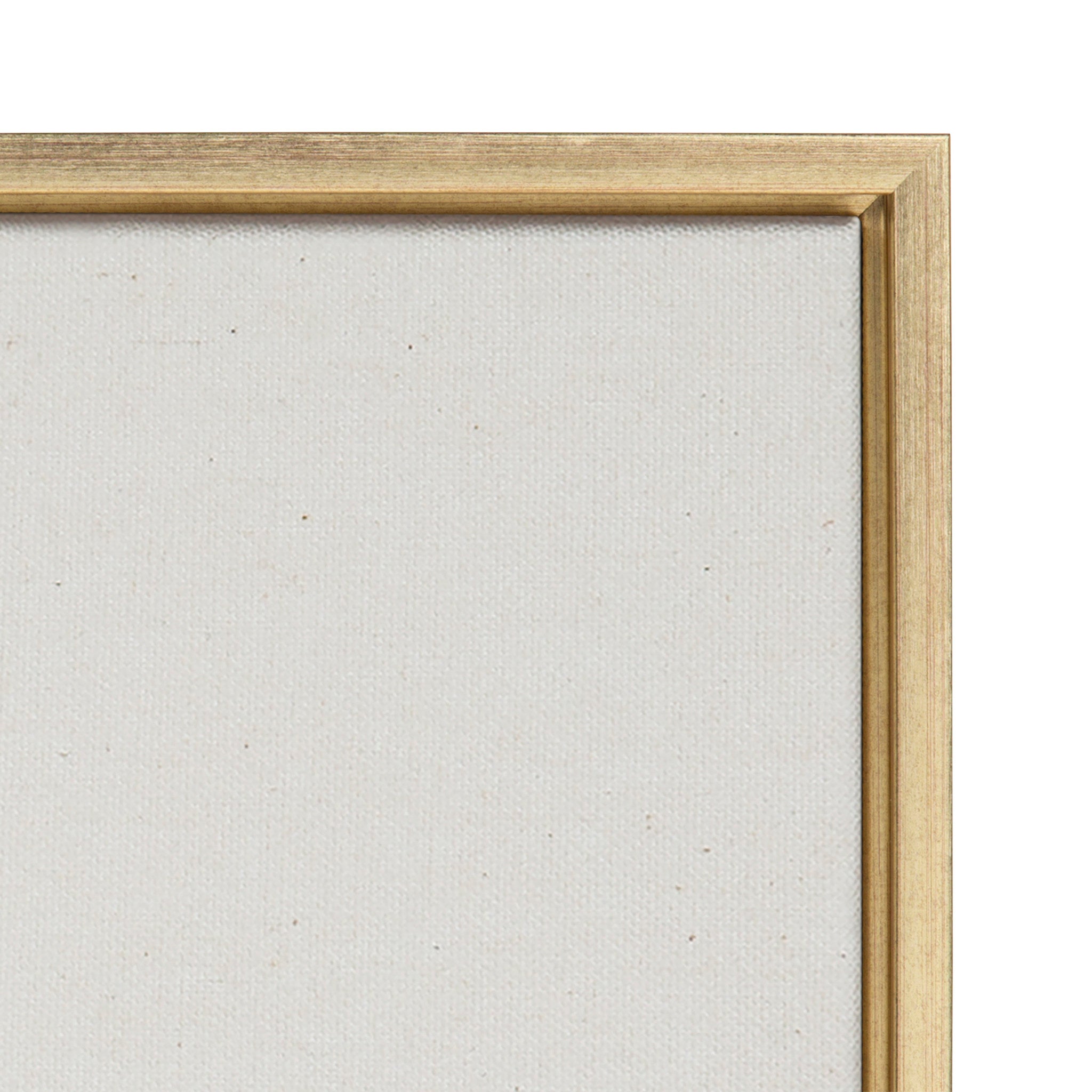 Sylvie 869 Going in Circles Framed Canvas by Teju Reval of SnazzyHues