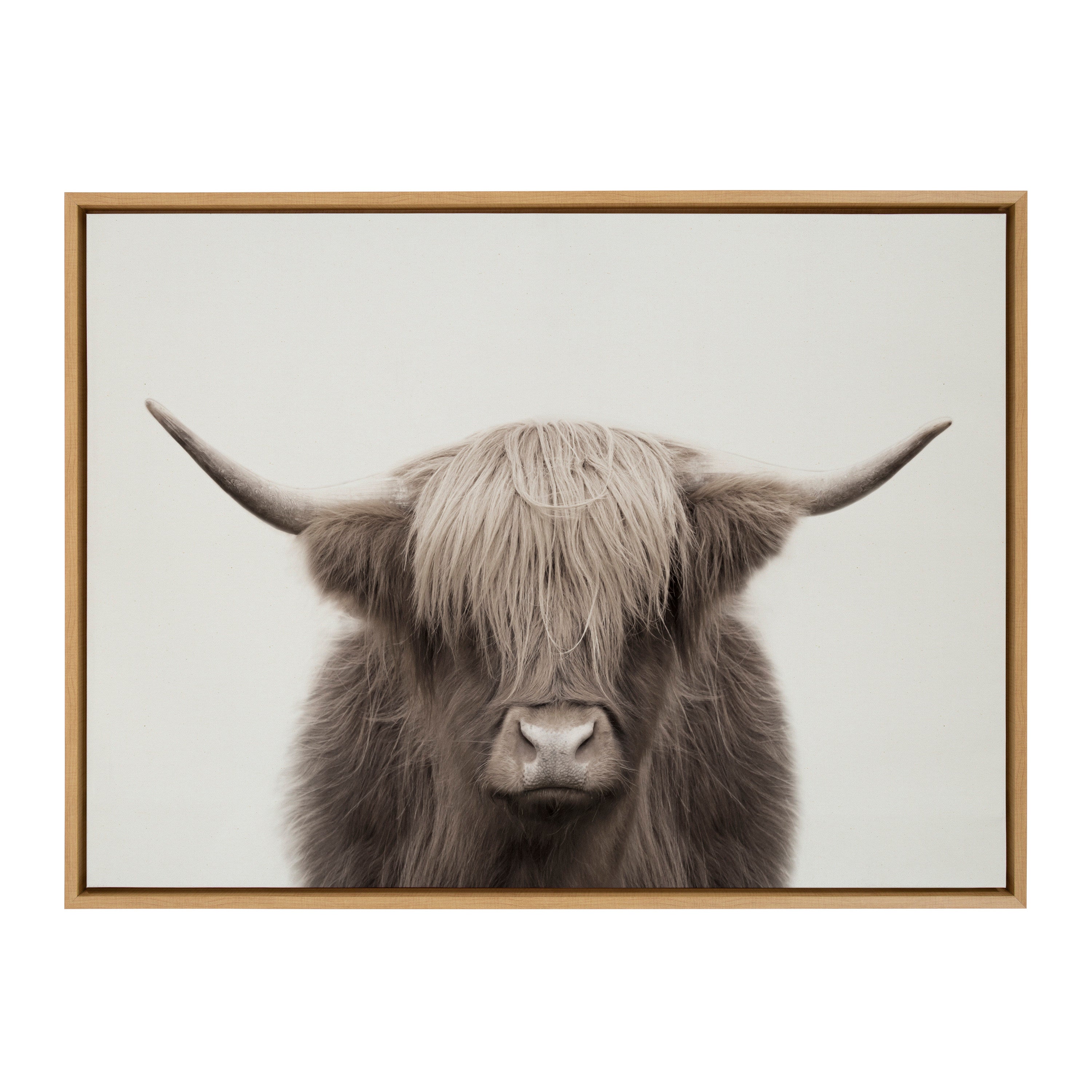 Sylvie Hey Dude Highland Cow Color Framed Canvas by The Creative Bunch Studio
