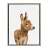 Sylvie Baby Donkey Framed Canvas by Amy Peterson
