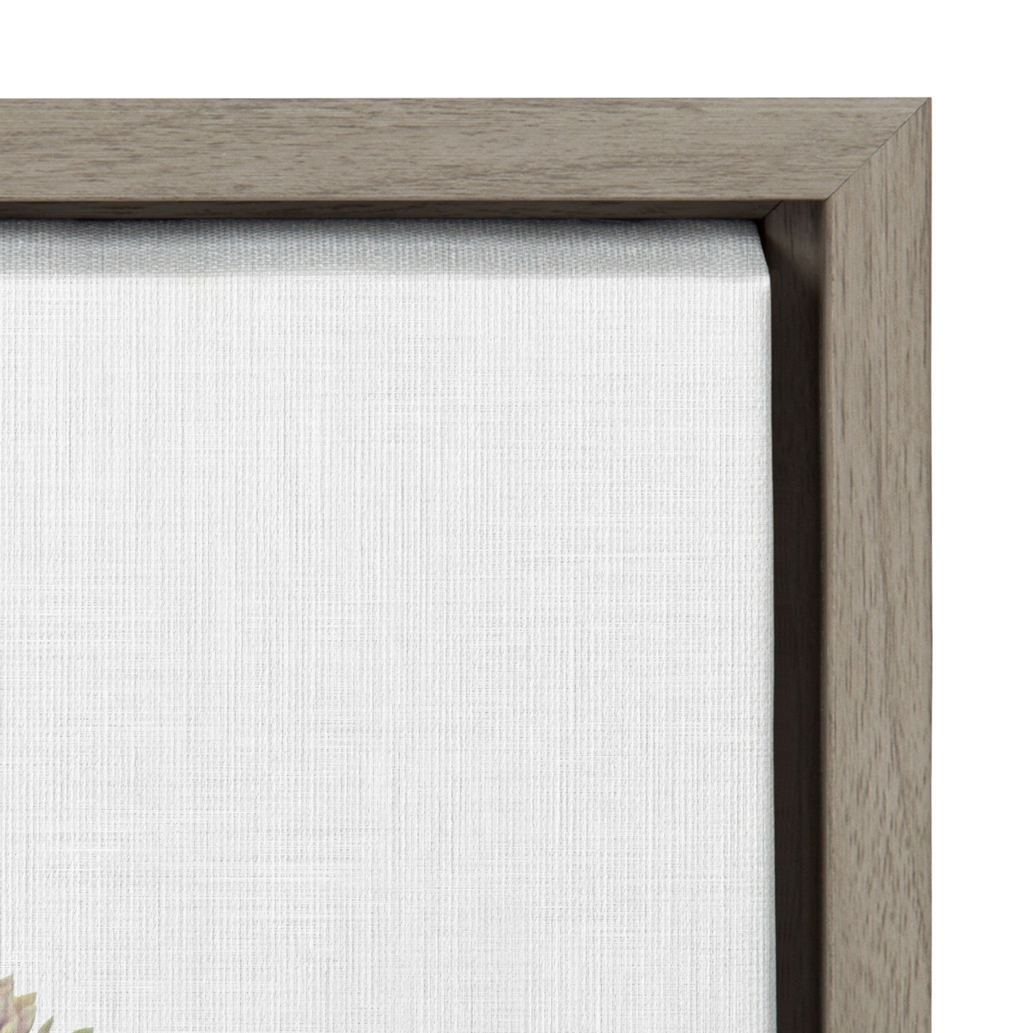 Sylvie Colony 2 Framed Canvas by F2Images
