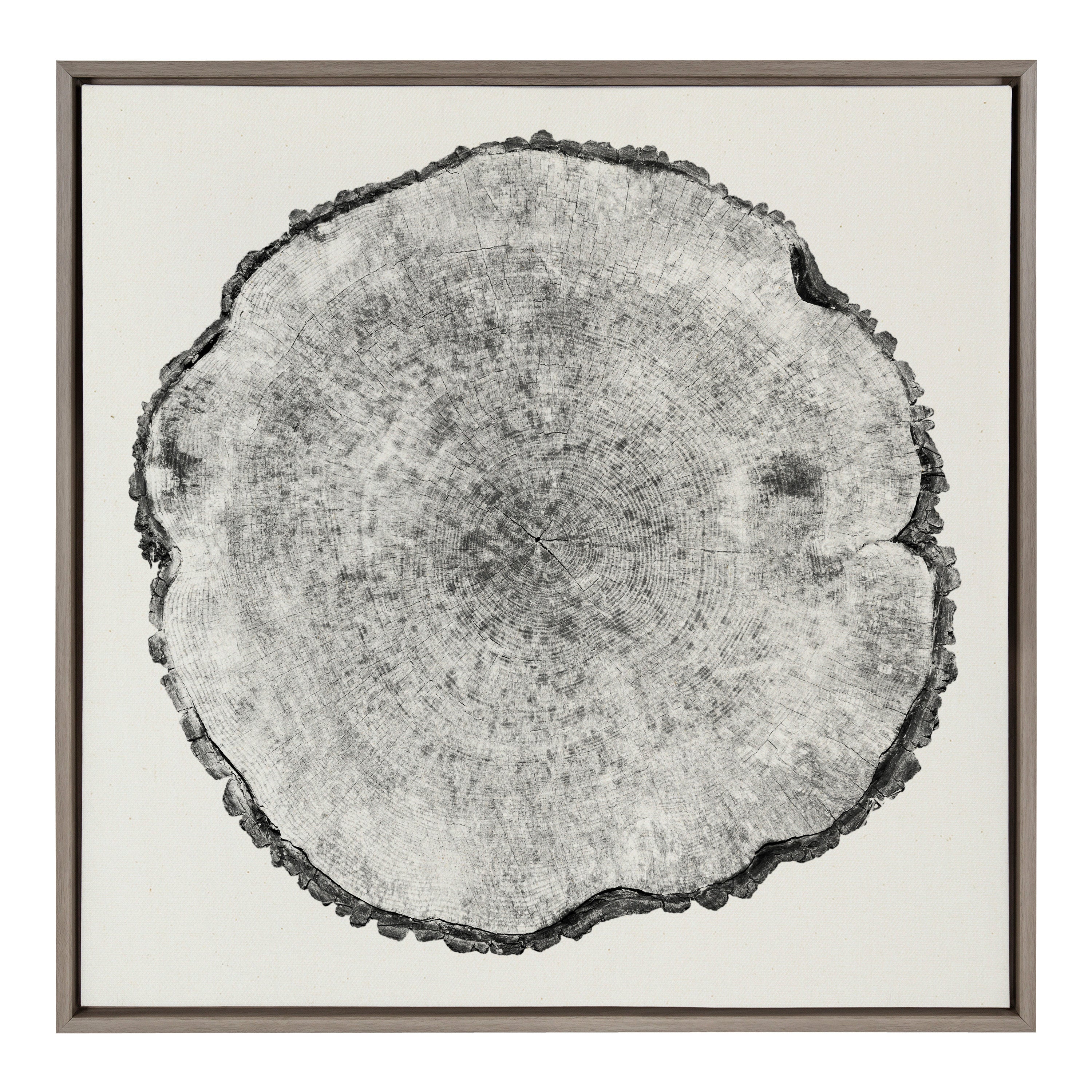 Sylvie Tree Rings Linen Framed Canvas by Emiko and Mark Franzen of F2Images