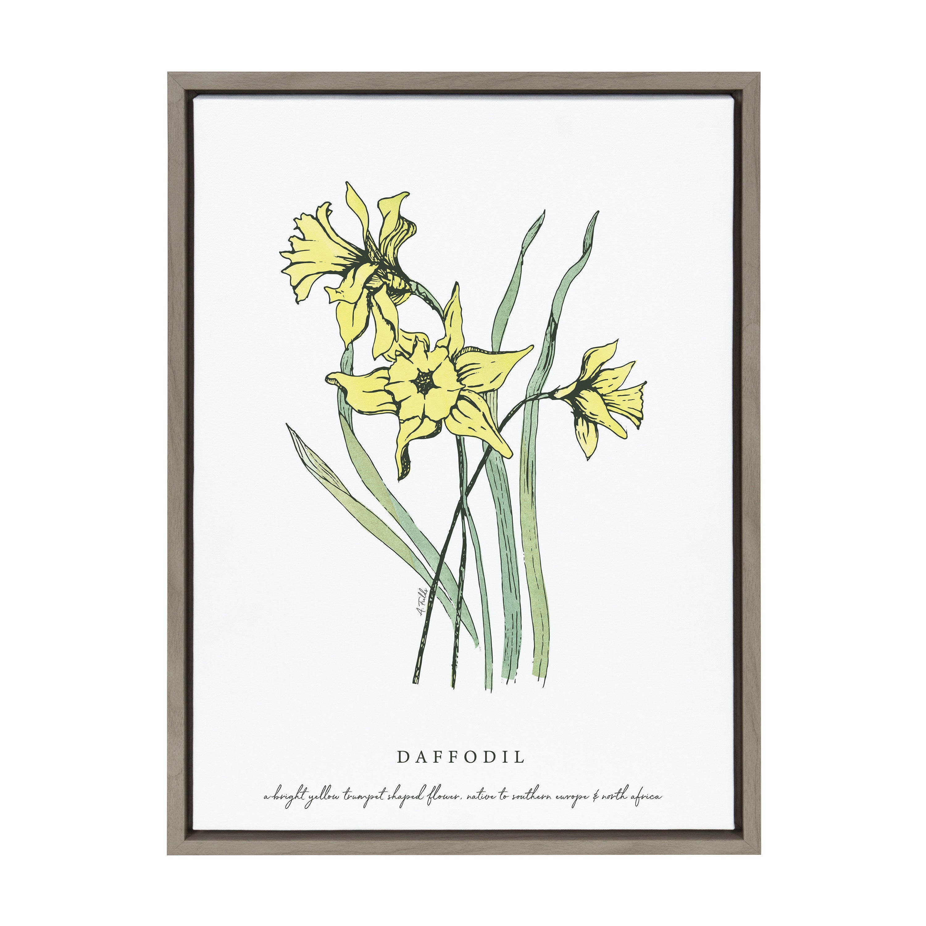 Sylvie Spring Daffodil Framed Canvas by Statement Goods