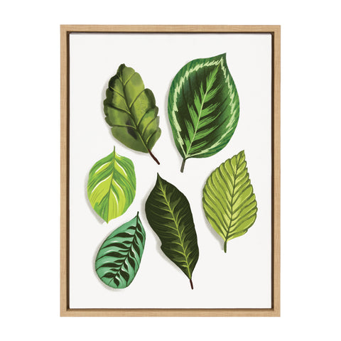 Sylvie Leaves Study Framed Canvas by Maria Filar