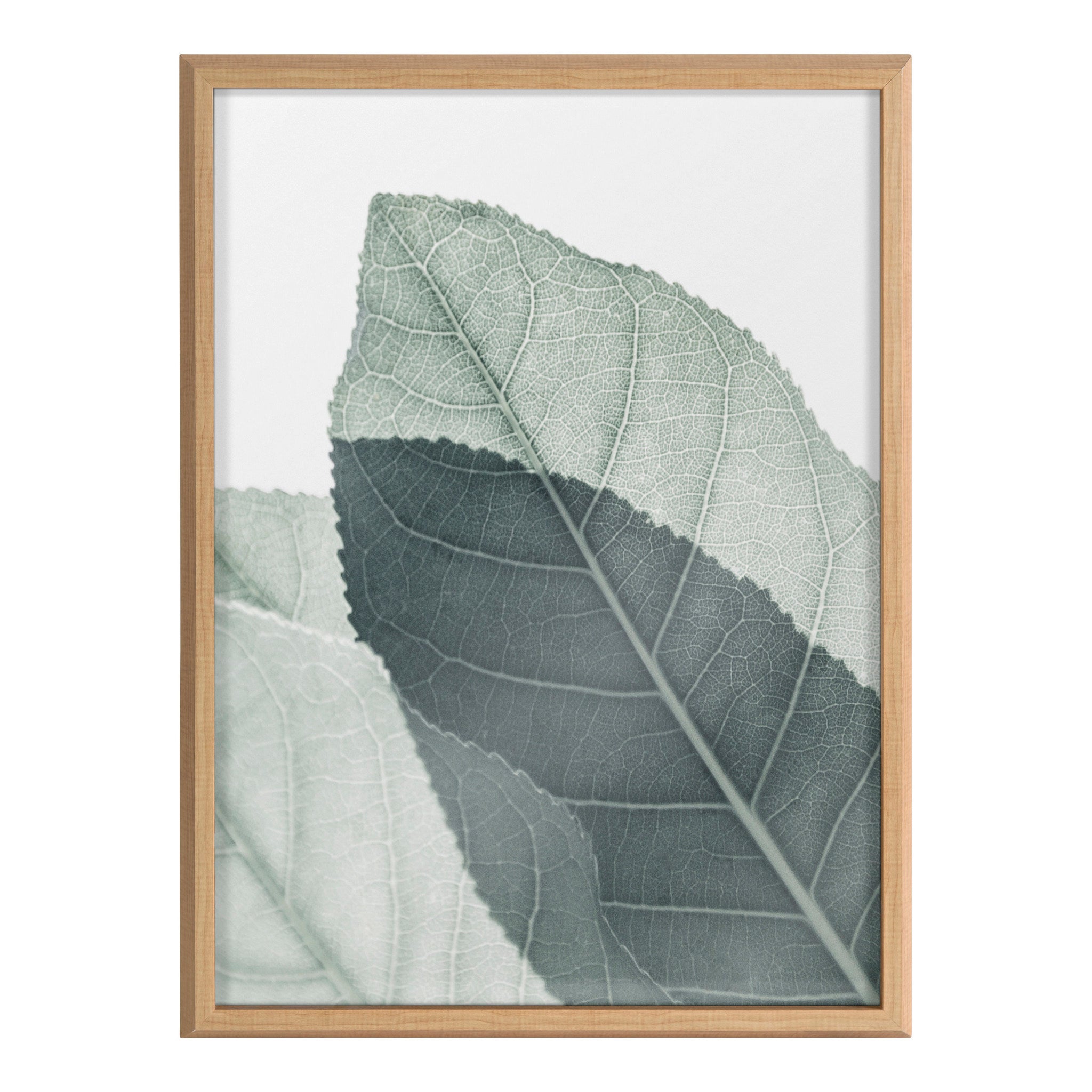 Blake Modern Green Leaf Botanical II Framed Printed Glass by The Creative Bunch Studio