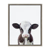 Sylvie Baby Cow Portrait Framed Canvas by Amy Peterson