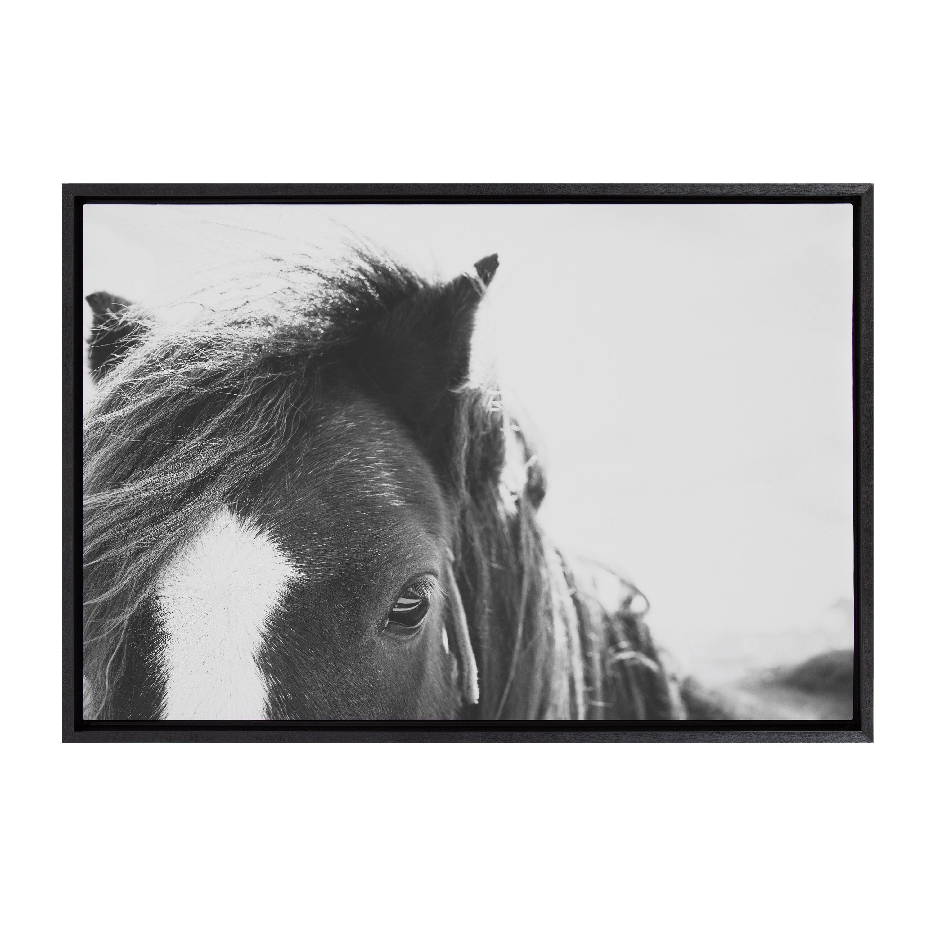 Sylvie Noble BW Framed Canvas by Alicia Abla