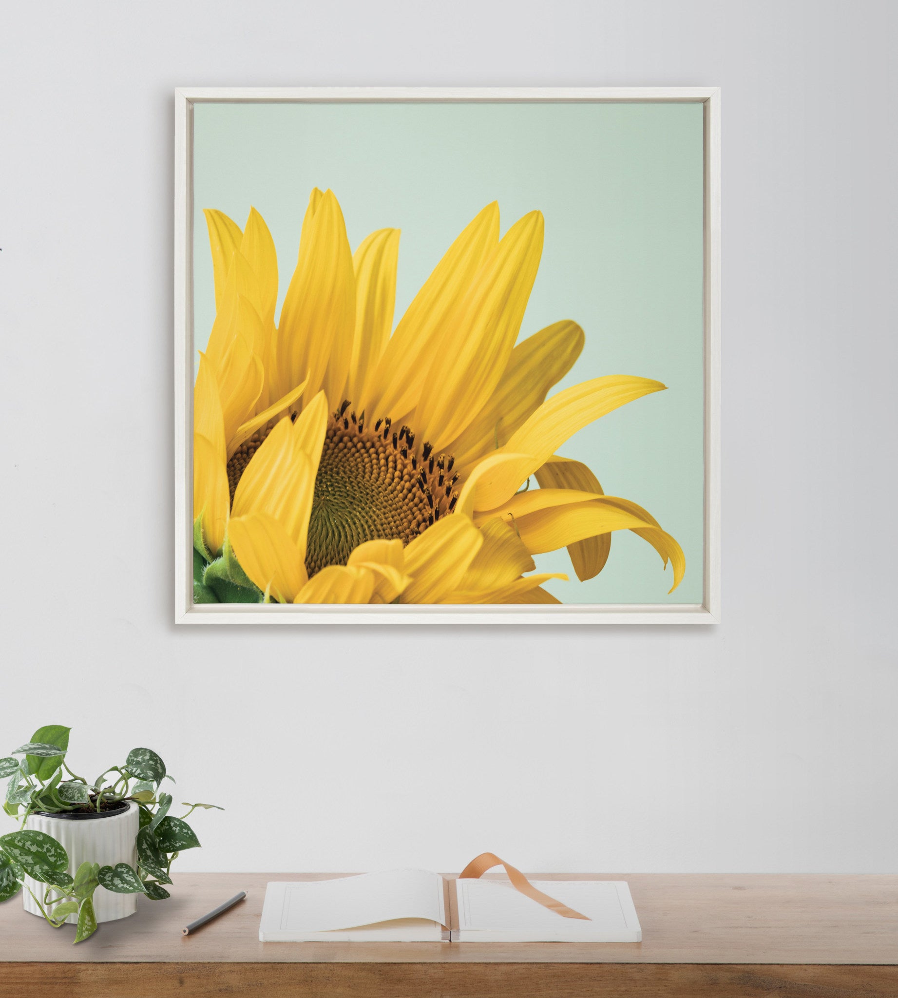 Sylvie Emerging Sunflower Framed Canvas by Emiko and Mark Franzen of F2Images