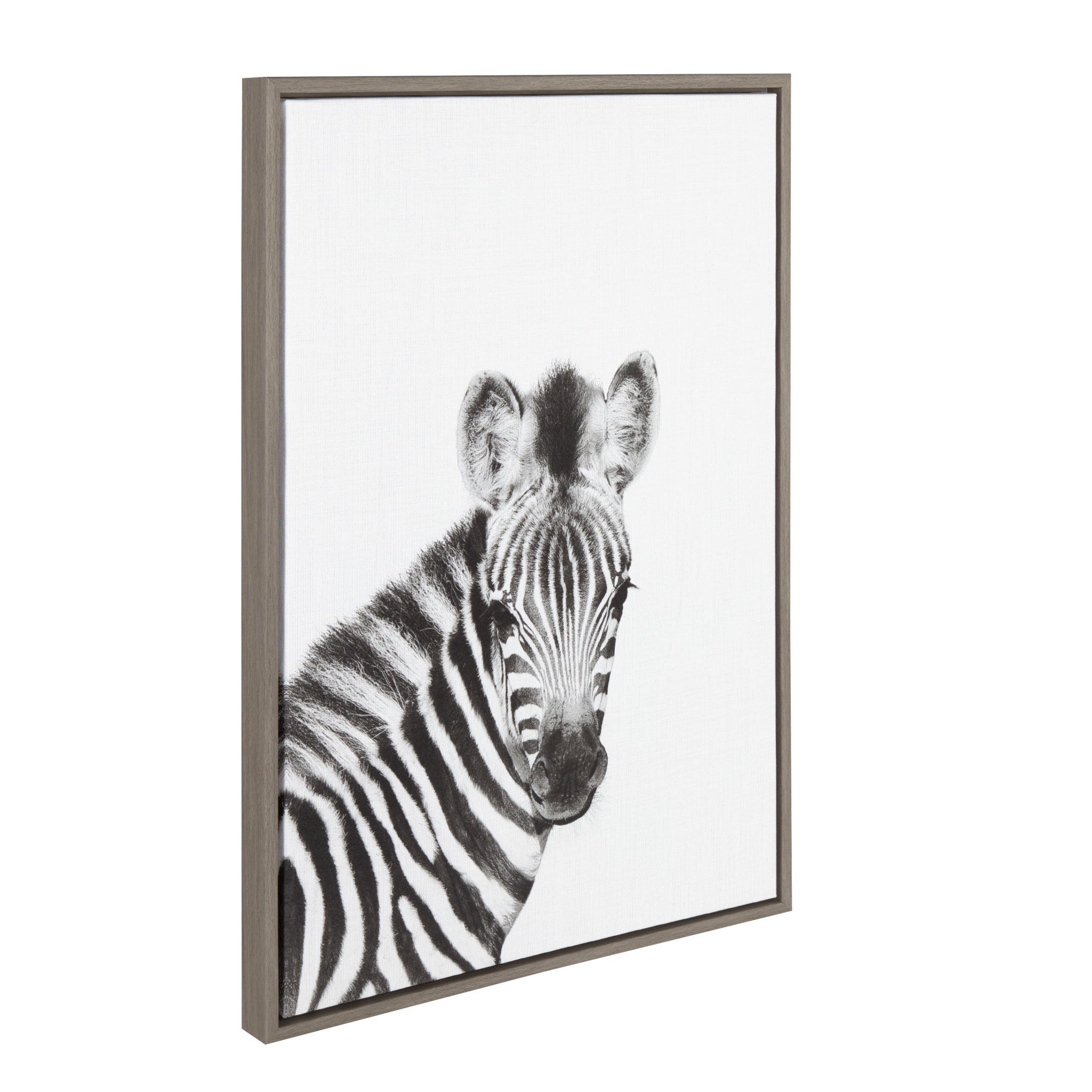Sylvie Baby Zebra Gray Framed Canvas by Simon Te Tai