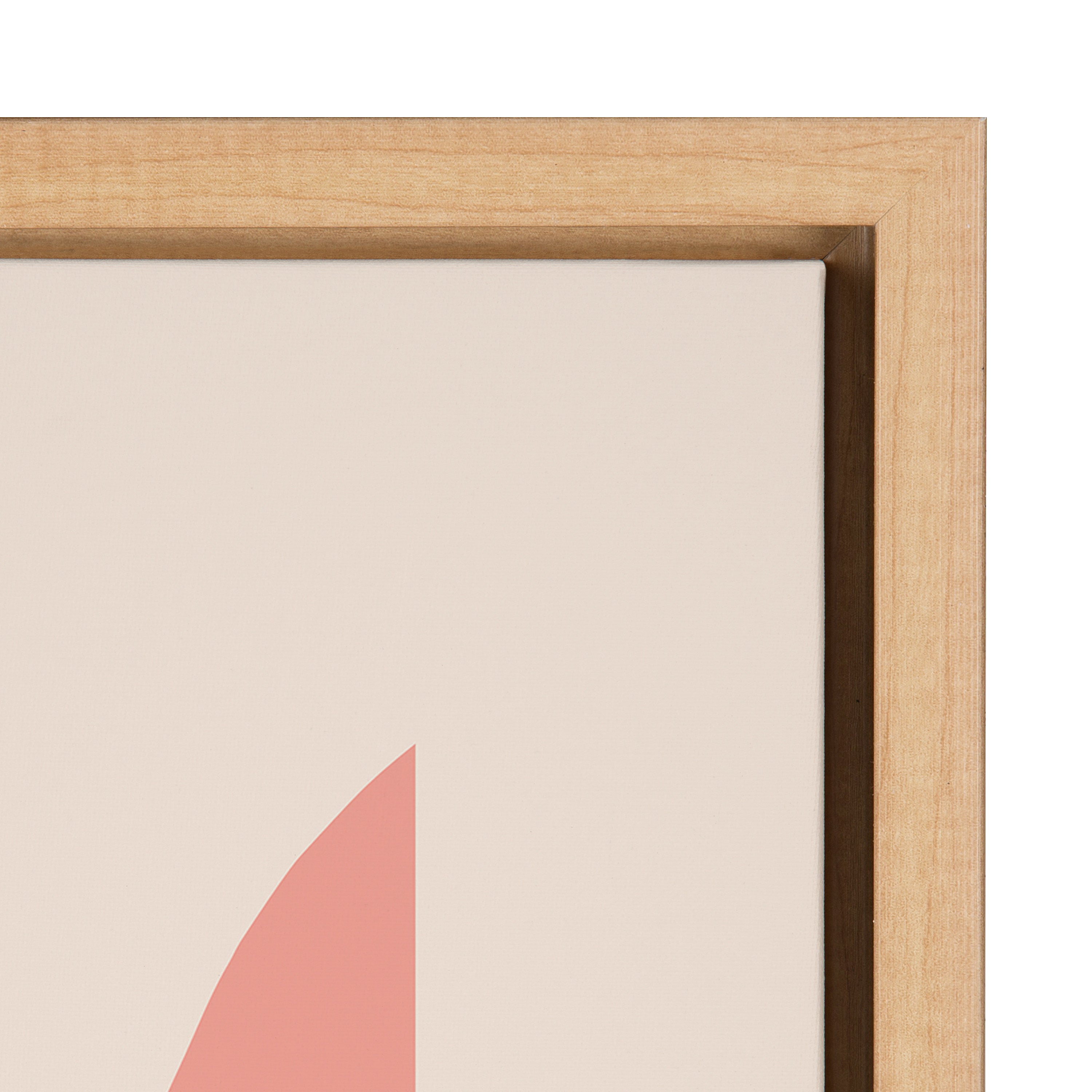 Sylvie Mid Century 5 Framed Canvas by Rachel Lee of My Dream Wall