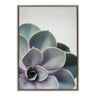 Sylvie Succulent 5 Framed Canvas by F2 Images