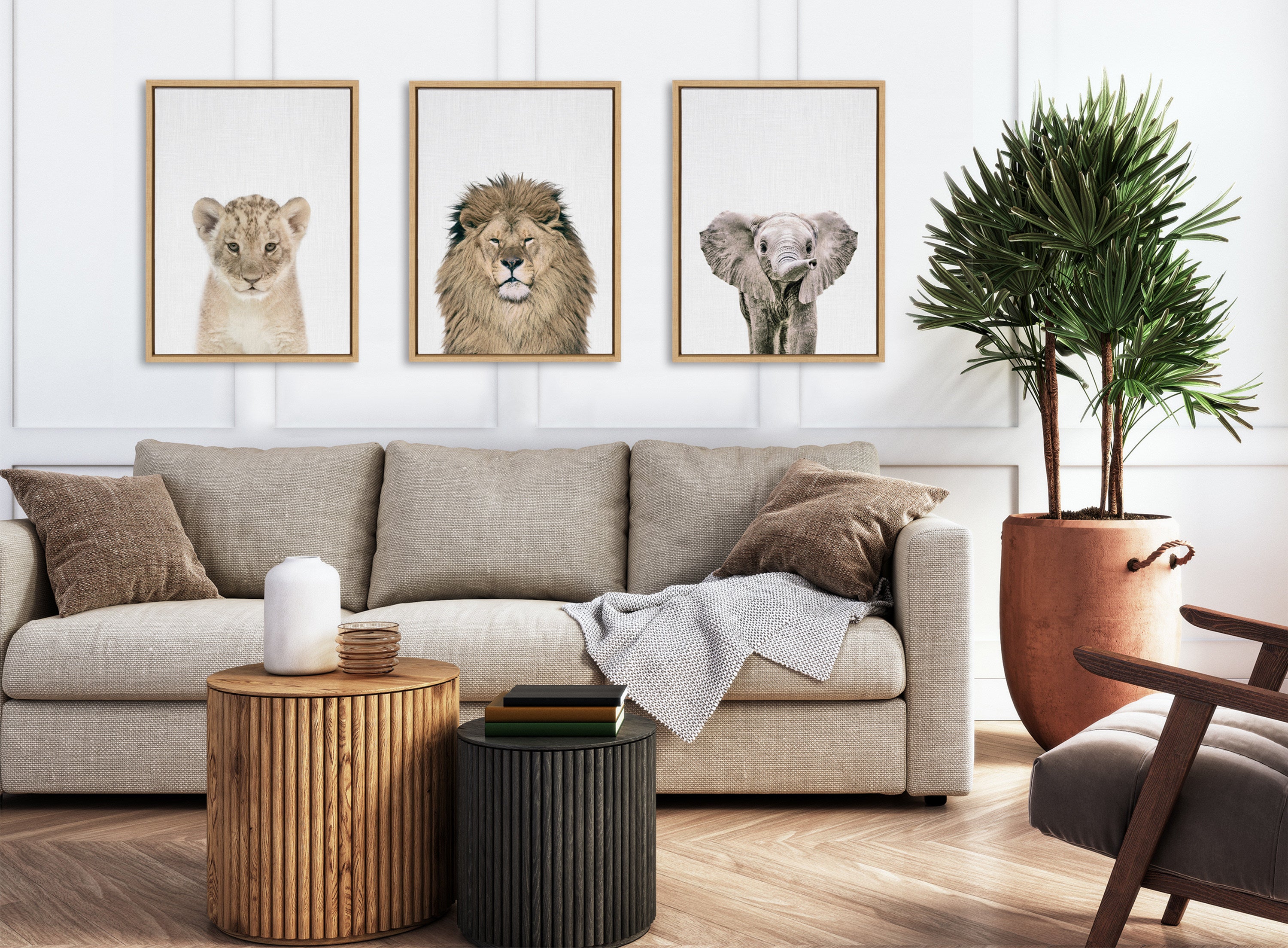 Sylvie Baby Lion Color Framed Canvas by Simon Te of Tai Prints