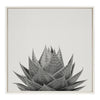 Sylvie Haze Aloe Succulent Framed Canvas by The Creative Bunch Studio