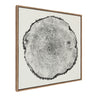 Sylvie Tree Rings Linen Framed Canvas by Emiko and Mark Franzen of F2Images