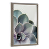 Blake Succulent 5 Framed Printed Glass by Emiko and Mark Franzen of F2Images