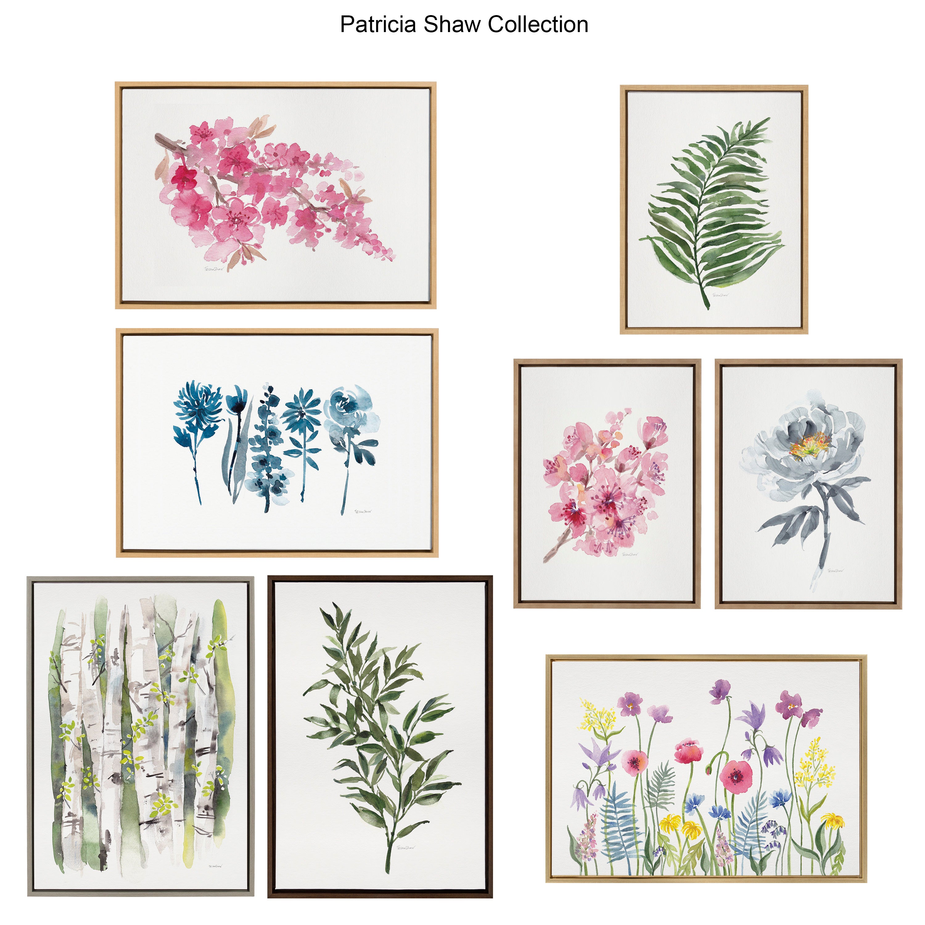 Sylvie Ruscus Framed Canvas by Patricia Shaw