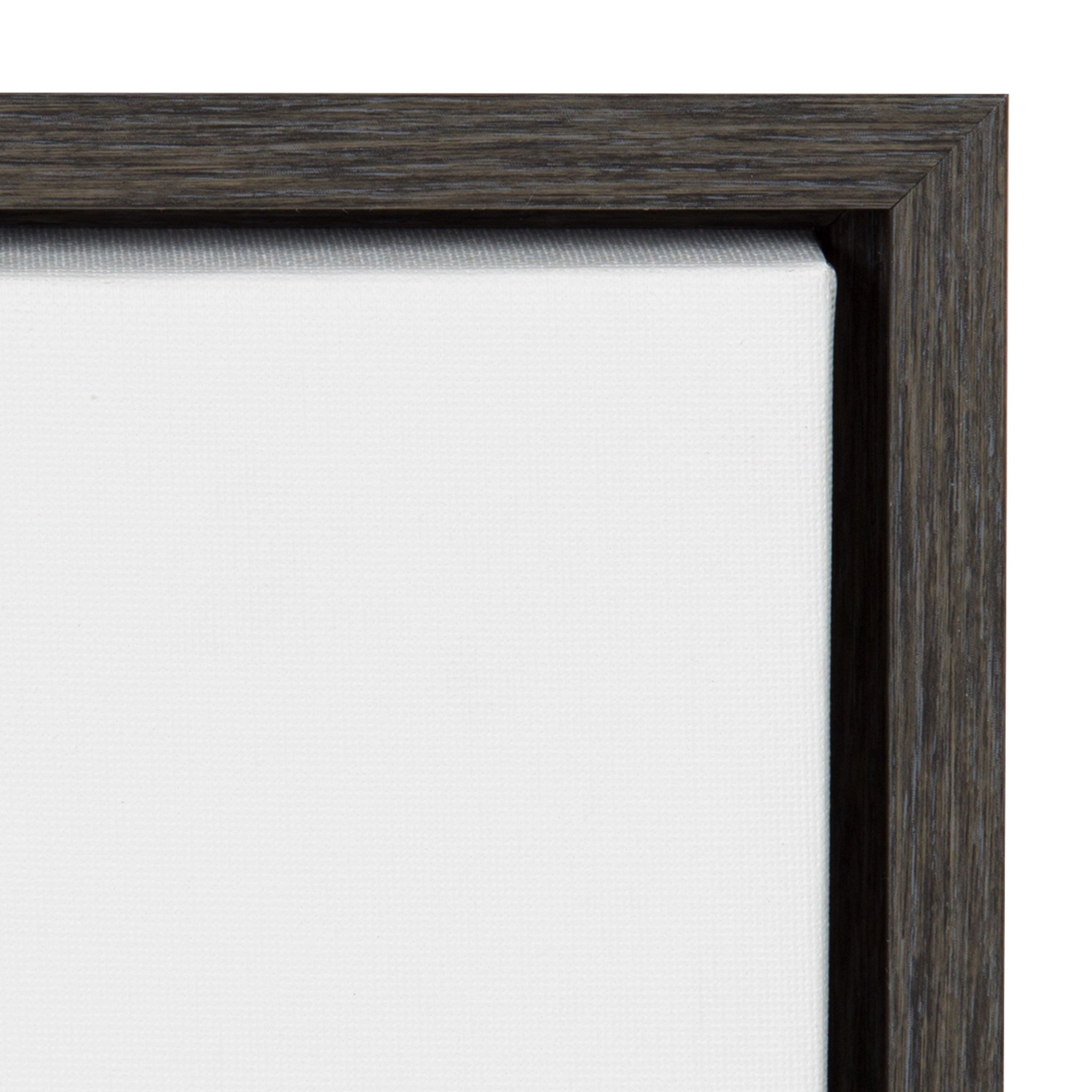 Sylvie Lion Self Actualizing Framed Canvas by Amy Peterson Art Studio