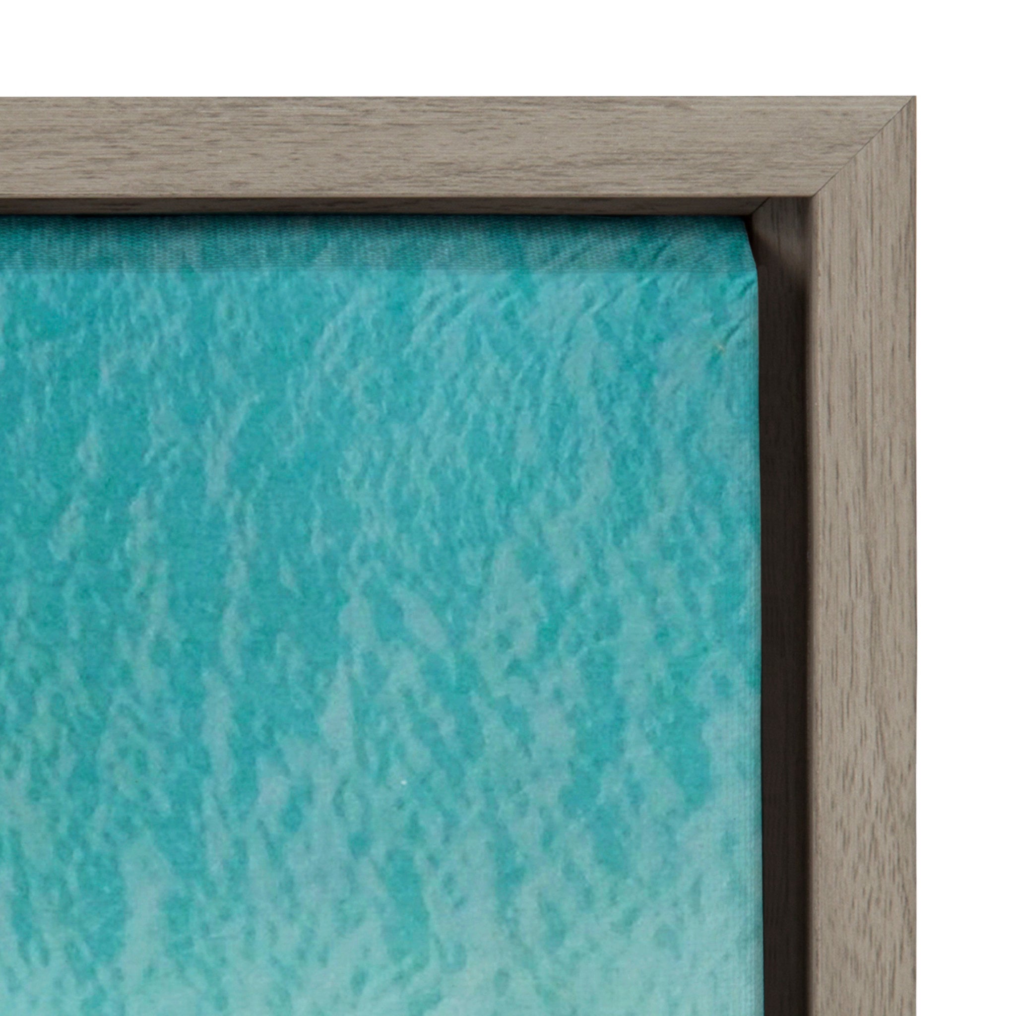 Sylvie Monterosso 6 Framed Canvas Set by Rachel Bolgov