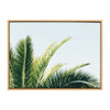 Sylvie Tropical Palm Under Blue Sky Framed Canvas by Amy Peterson Art Studio