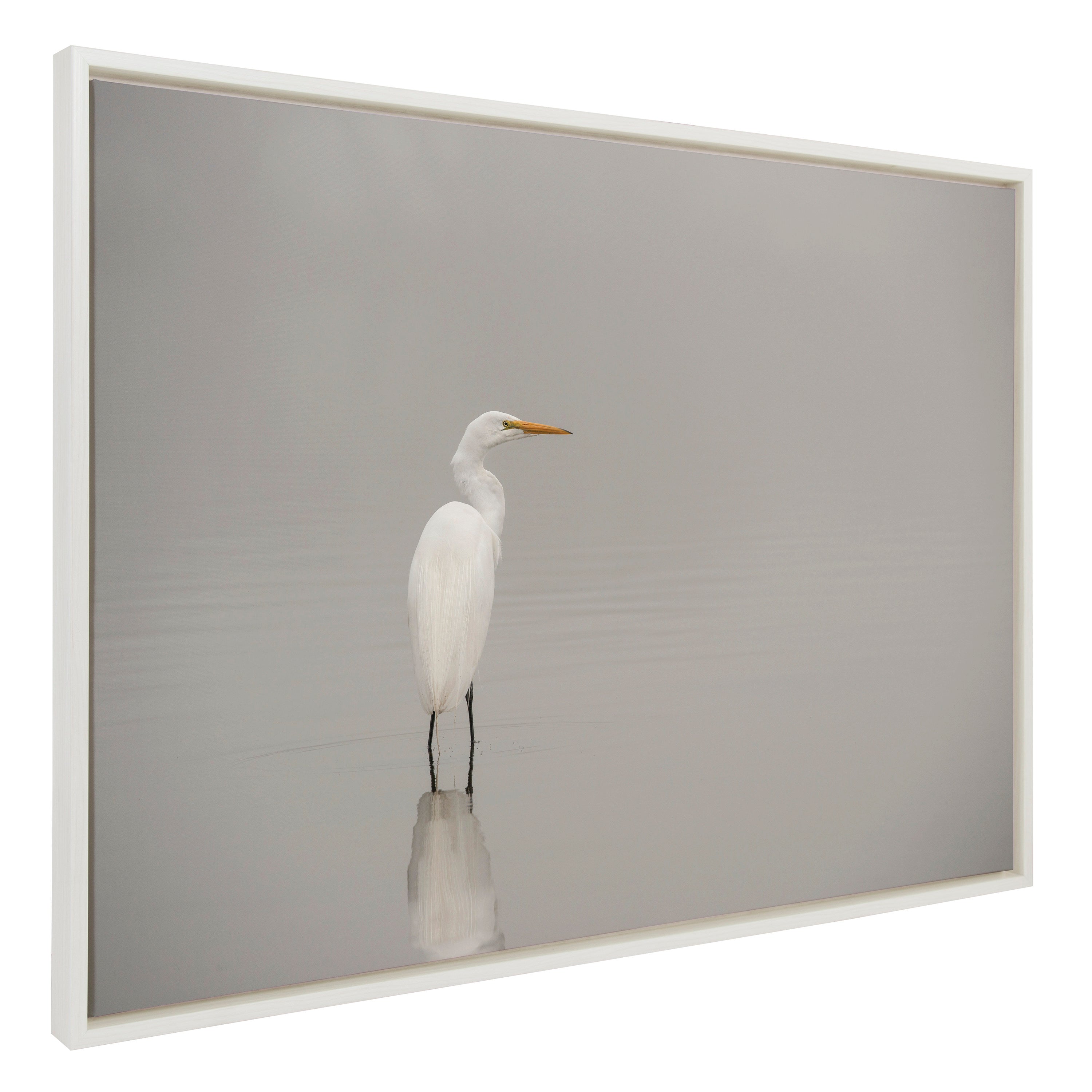 Sylvie Great White Egret Framed Canvas by Crystal Lynn Collins