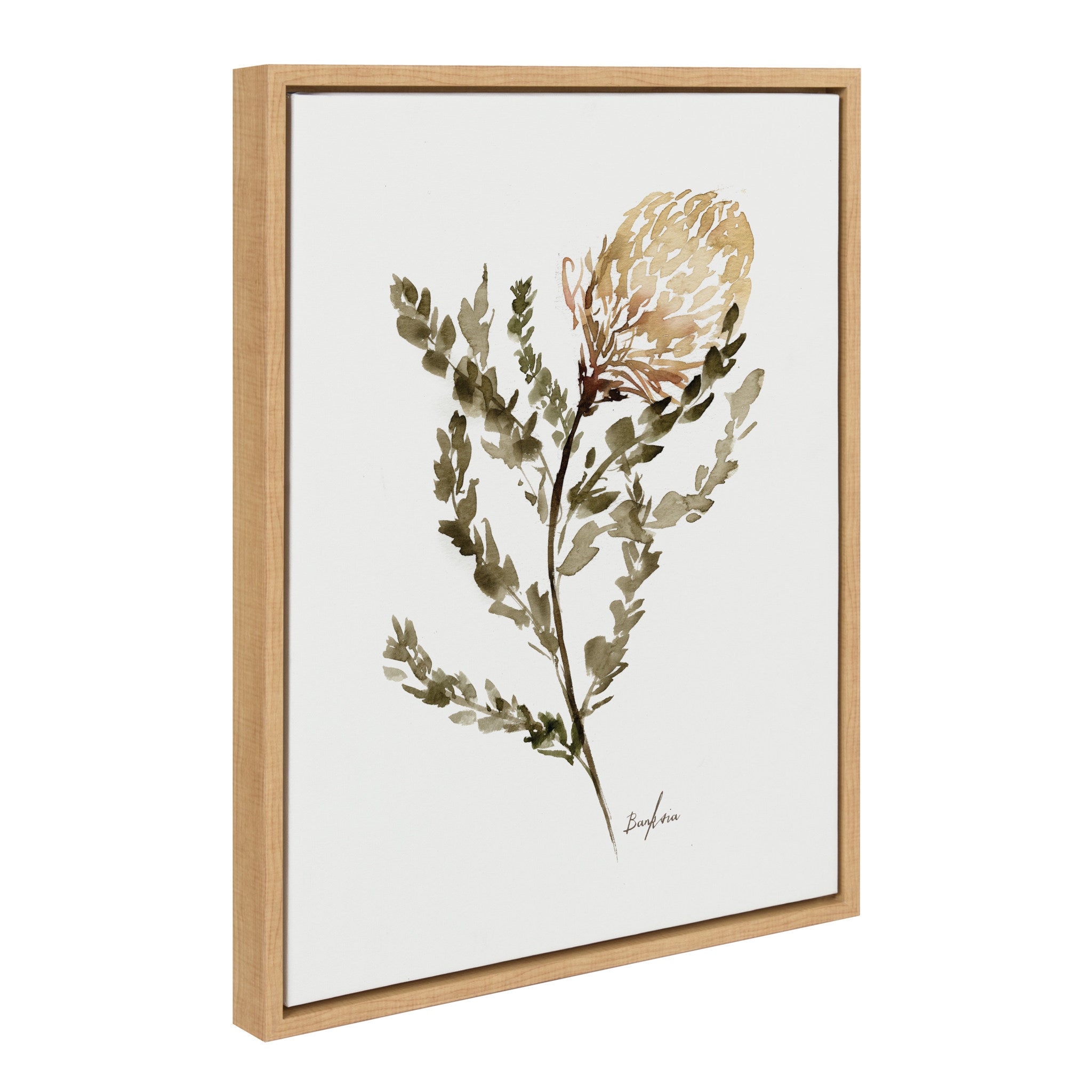 Sylvie Wild Banksia Framed Canvas by Sara Berrenson