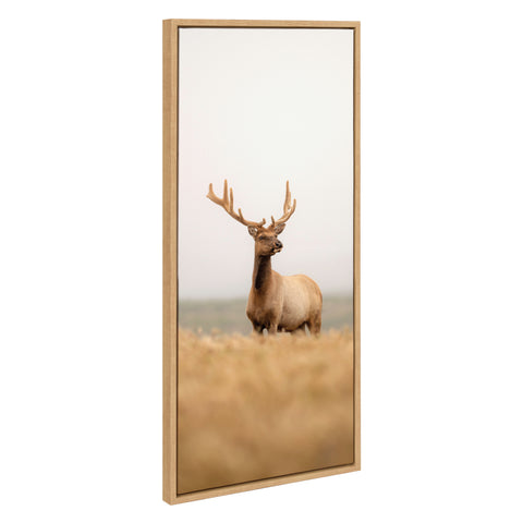 Sylvie Tule Elk No 6 Framed Canvas by Crystal Lynn Collins