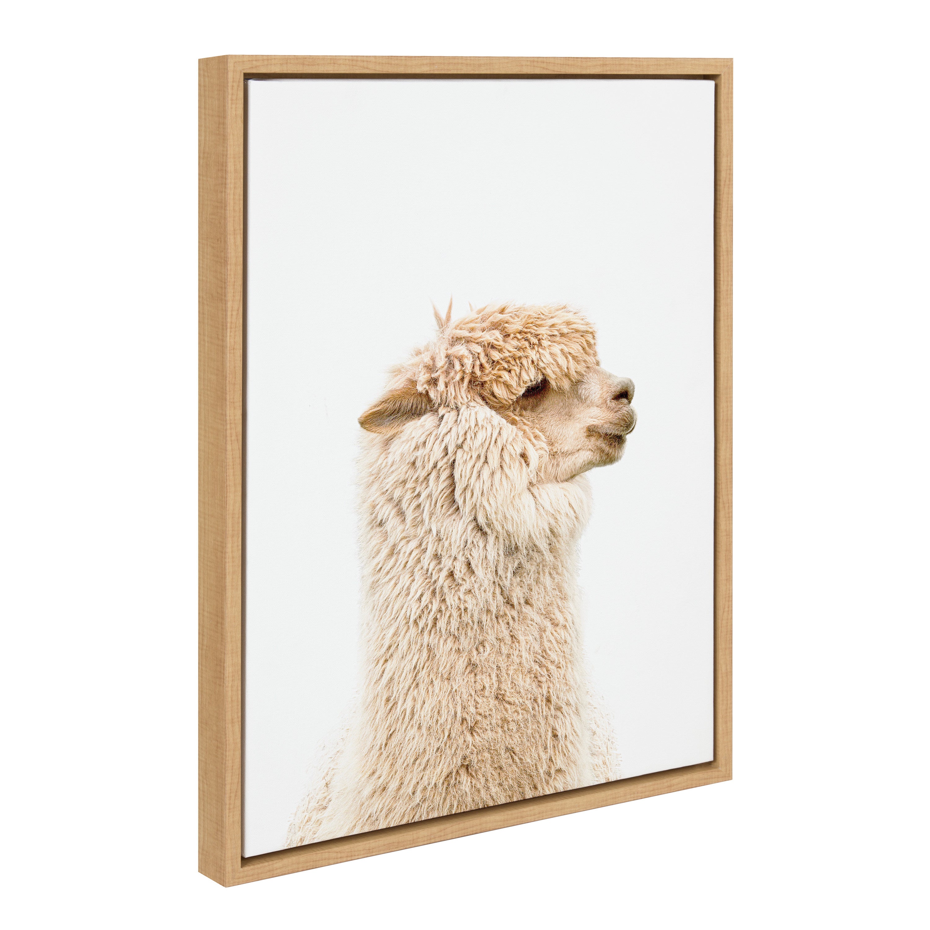 Sylvie Golden Alpaca Profile Framed Canvas by Amy Peterson Art Studio