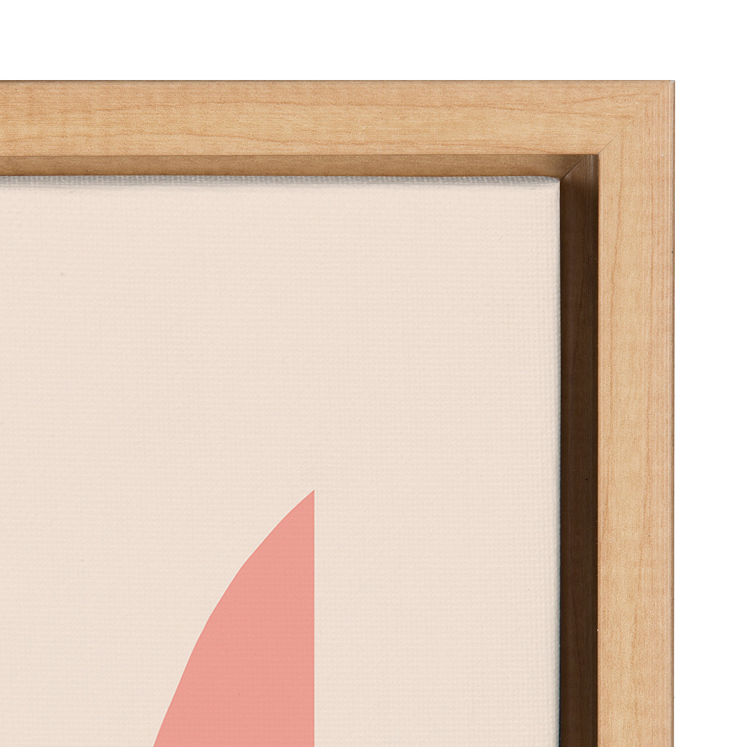 Sylvie Mid Century 5 Framed Canvas by Rachel Lee of My Dream Wall