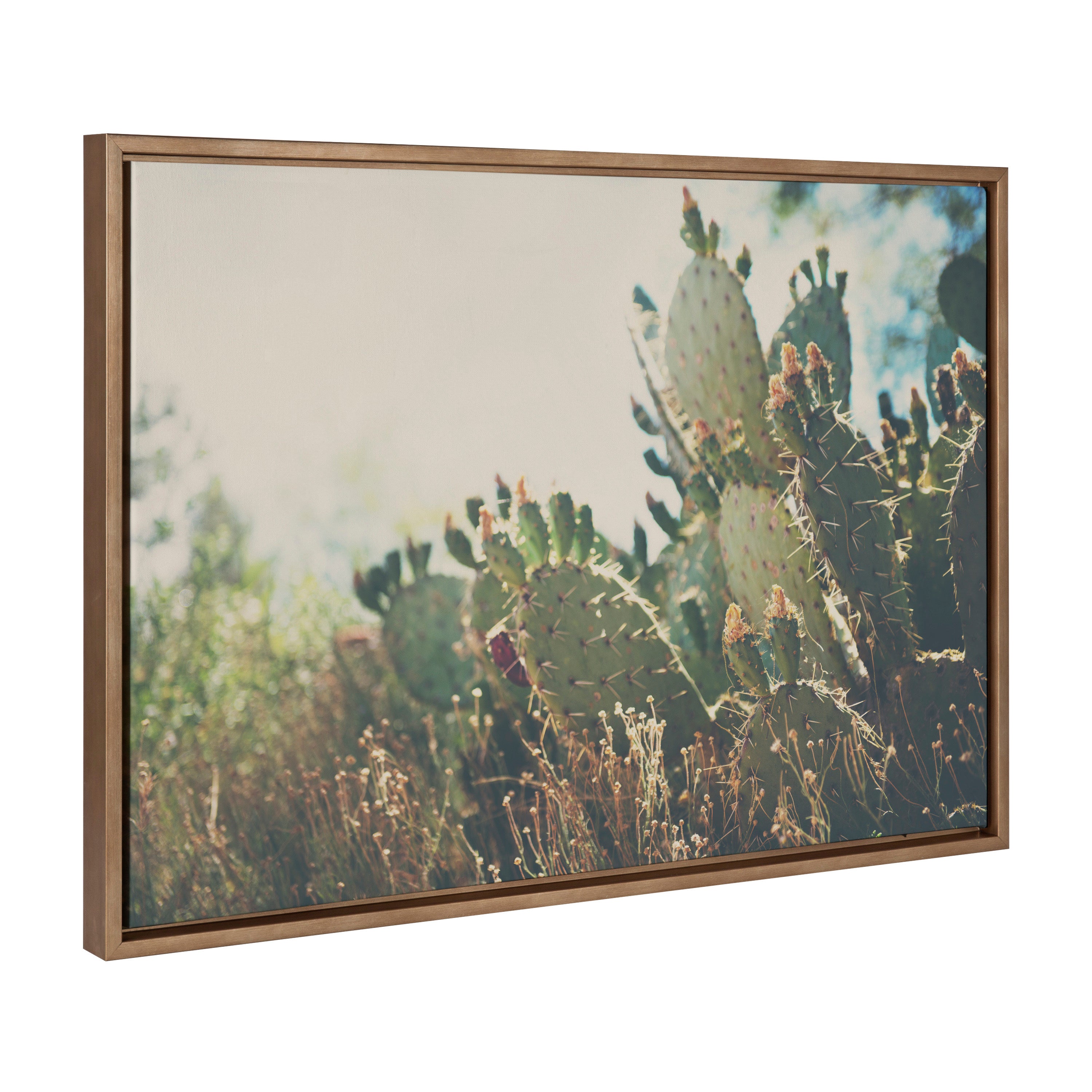 Sylvie A Desert Prickly Pear Cactus Framed Canvas by Laura Evans