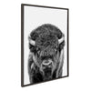Sylvie Bison Portrait Black and White Framed Canvas by Amy Peterson Art Studio