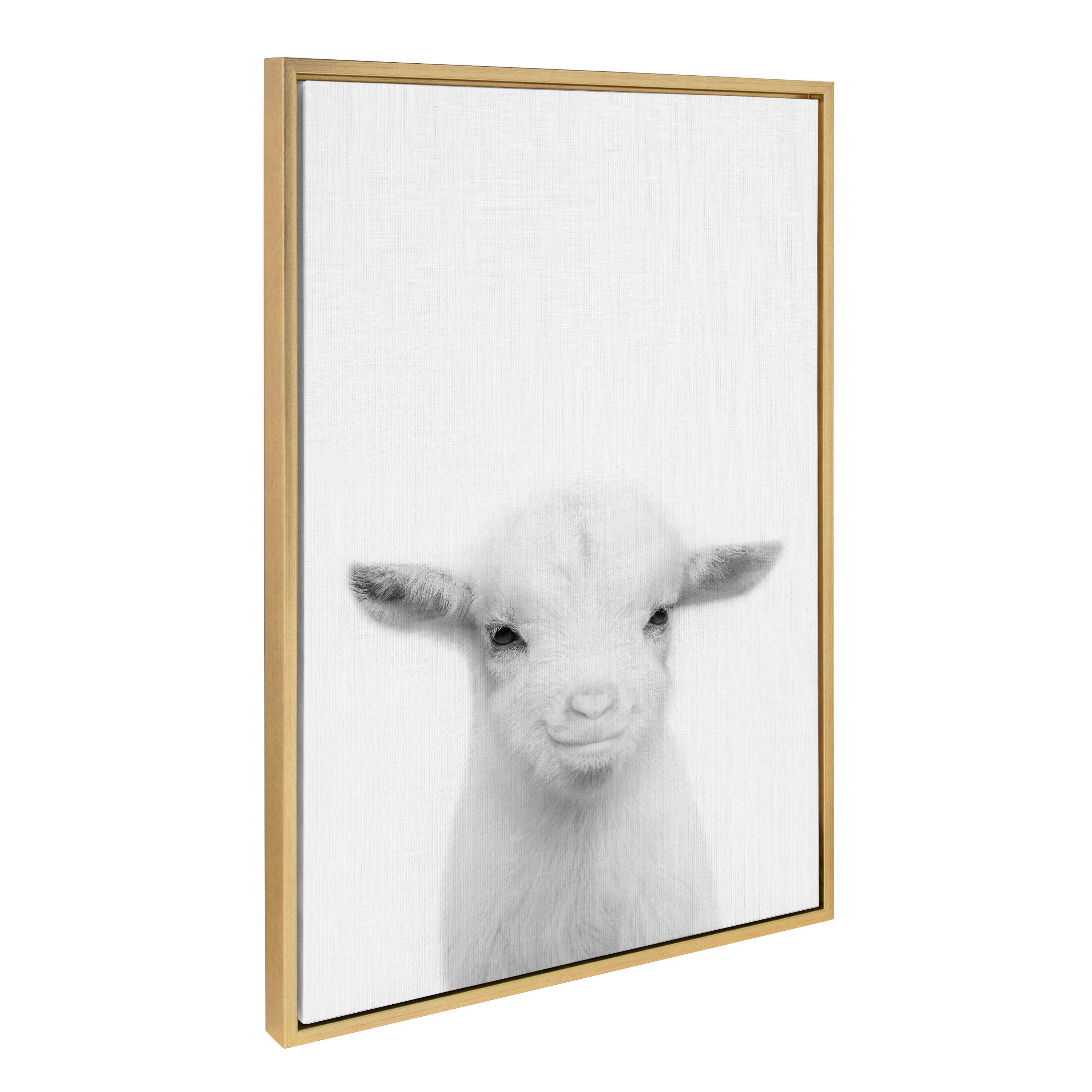 Sylvie Baby Goat Framed Canvas by Simon Te Tai