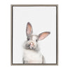Sylvie Youth Rabbit Framed Canvas by Amy Peterson