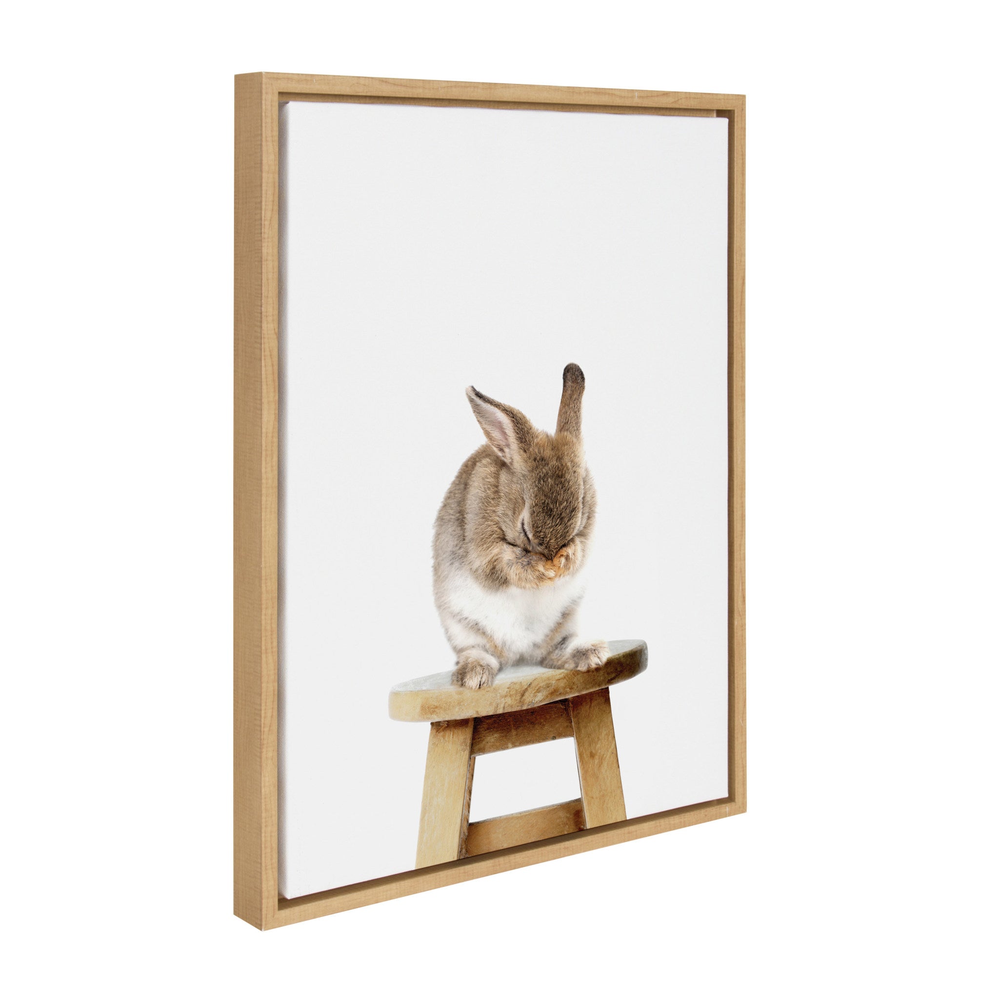 Sylvie Shy Rabbit Framed Canvas by Amy Peterson