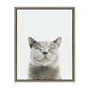 Sylvie Smiling Cat Framed Canvas by Amy Peterson Art Studio