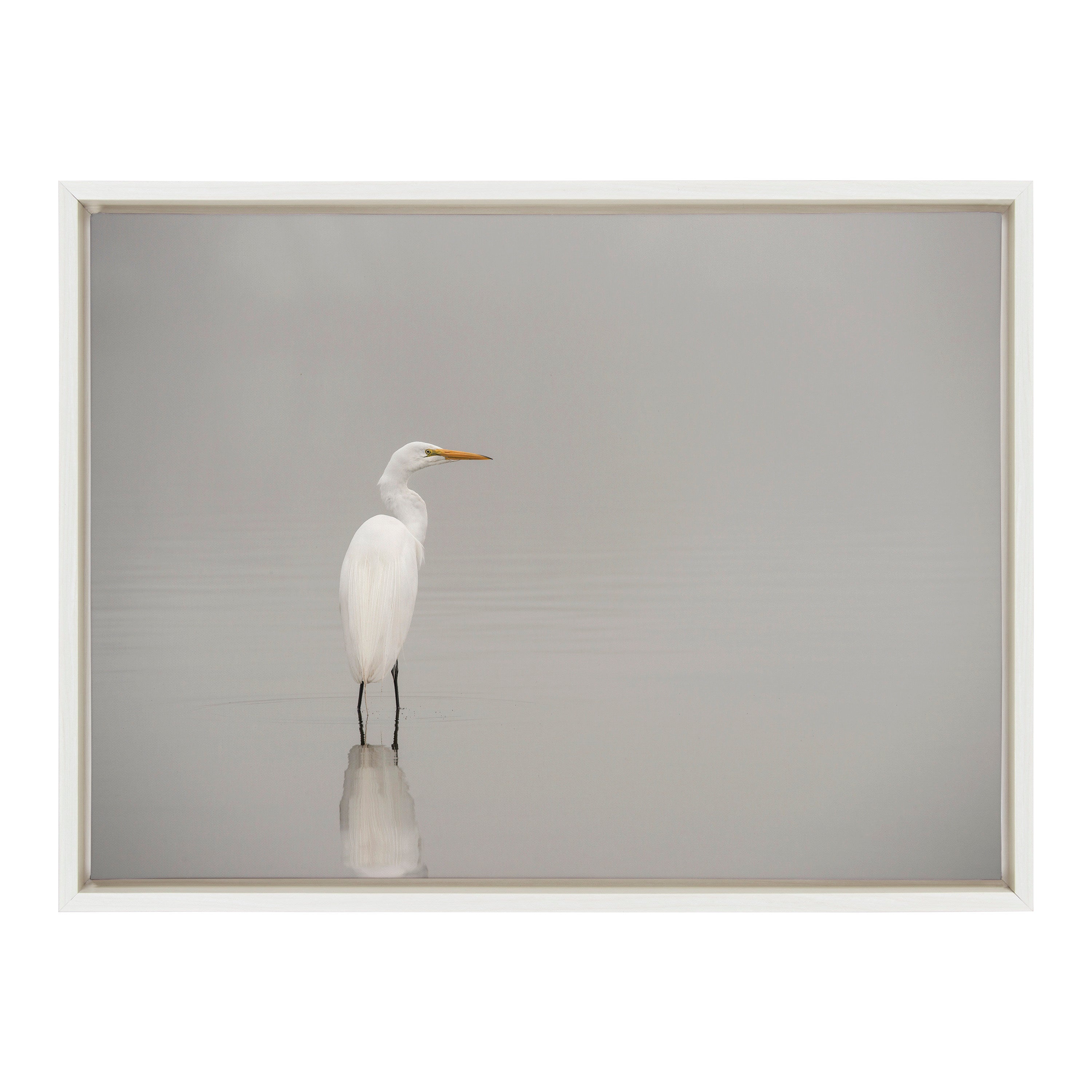 Sylvie Great White Egret Framed Canvas by Crystal Lynn Collins